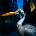 SZMIEREK, ANTONY - DECODING BIRDSONG CD
