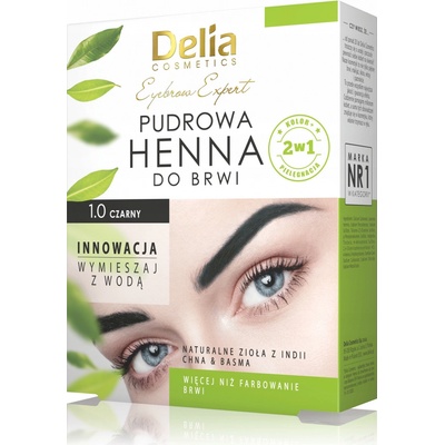 Delia Cosmetics Eyebrow Expert tónovacia farba na obočie 1.0 Black 4 g