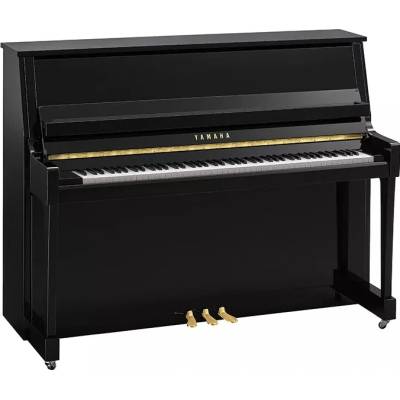 Yamaha B20 PE