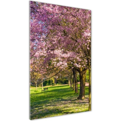 Vertikálny foto obraz sklenený Višne 50x100 cm