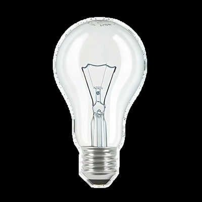 Narva Standardní žárovka E27 200W čirá N341002