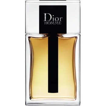 Dior Dior Homme (2020) EDT 100 ml