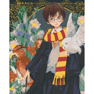 Zuty malování Podle čísel Harry Potter Hedvika A Féni x Fawkes 40 x 50 Cm Plátno Rám