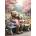 Alipson Puzzle - Puzzle You & Me - 500 piese