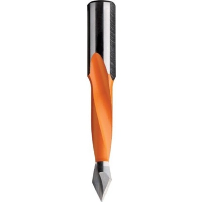 IGM C31410011