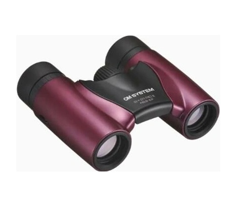 OM System 8×21 RC II WP