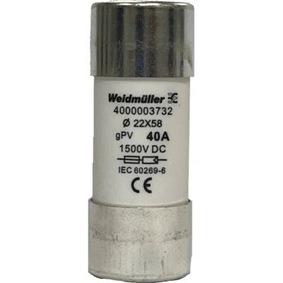 Válcový pojistný prvek Weidmüller FUSE WSFL 22X58 30A 1K5V GPV (2873880000)