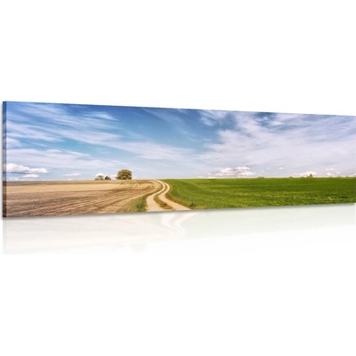 Obraz čarokrásná krajina - 135x45