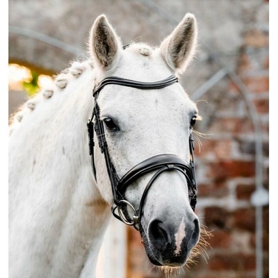 HORSEWARE Uzdečka Flash Horseware černá