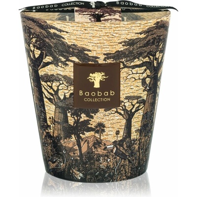 Baobab Collection Sacred Trees Mankono 1100 g