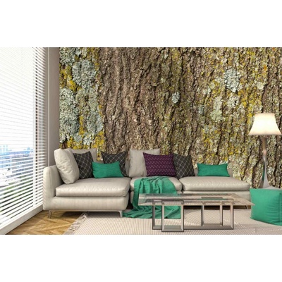 Dimex MA-5-2338 Samolepicí vliesová fototapeta na zeď Textura kůry stromu rozměry 375 x 250 cm