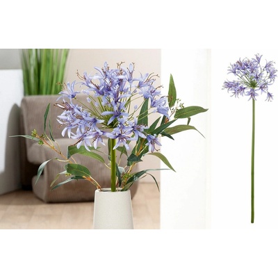 Gilde Gilde Umelý kvet Agapanthus "Arina"