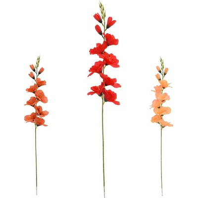 KS GLADIOLA, MIX/3F 69CM