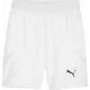 Puma teamFINAL
