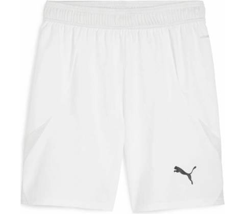 Puma teamFINAL