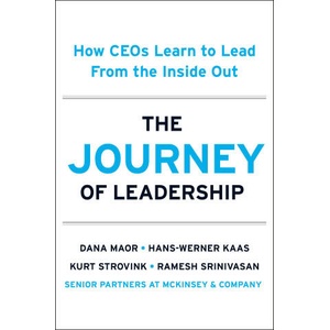 CEO WORKSHOP | MAOR DANA (2024)
