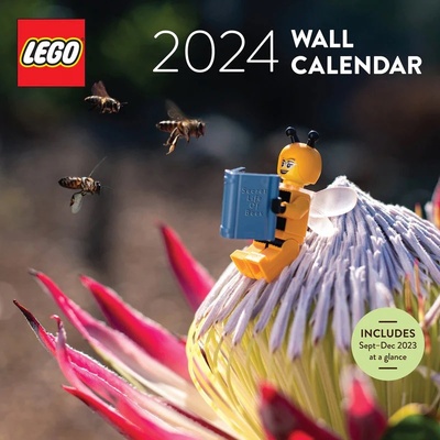 Chronicle Books LEGO Nástěnný 2024
