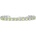 Nefertitis NF32914