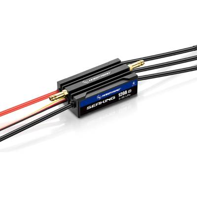 HOBBYWING SEAKING 120A V4