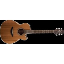 TAKAMINE GN20CE