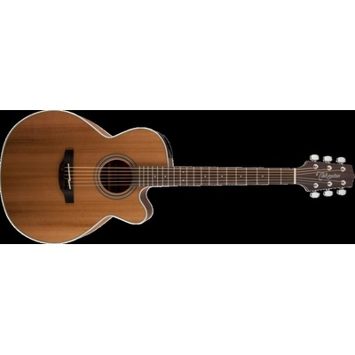 TAKAMINE GN20CE