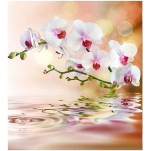 DIMEX ART Флизелинов фототапет бяла орхидея 225 x 250 см