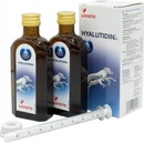 Hyalutidin DC Aktiv pre psy a mačky 2 x 125 ml