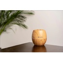 Image 1 of TrueLife D3