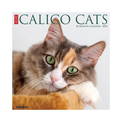 Willow Creek Press Calendars Calico Cats 2026 12 X 12 Wall Calendar | Willow Creek Press