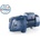 Pedrollo JSWm 2B (46JSN7A12A1)