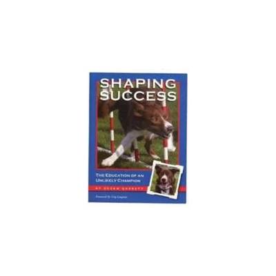 Shaping Success | Susan Garrett