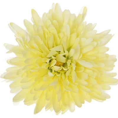 HLAVA CHRYZANTÉMA KRÉM D:16CM BAl:12KS