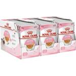 Royal Canin Kitten Instinctive Jelly консерви за котенца в желе 36 x 85 г