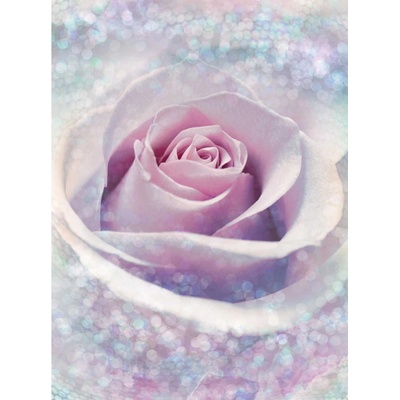 Komar Vliesová fototapeta Delicate Rose rozměry 200 x 260 cm