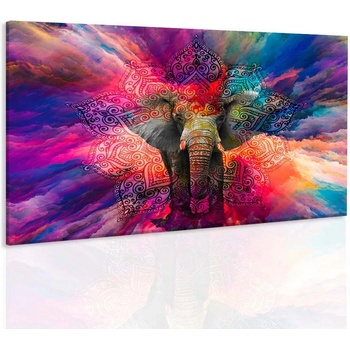 Malvis Malvis Obraz slon štěstí