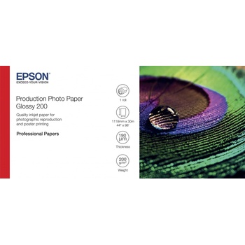 Epson C13S450373