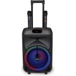 Bontempi Безжичен акустичен куфар на колела с 2 безжични микрофона, RGB (491090)