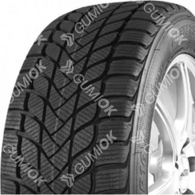 Mastersteel Winter + 205/55 R17 95H