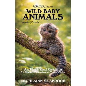 The 50 Cutest Wild Baby Animals in the World (ISBN: 9781955351843)