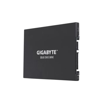 Gigabyte PRO 256GB, GP-GSTFS30256GTTD