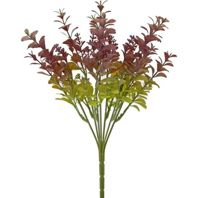 ZELEŇ DROB. LÍSTKY, ZELENO- FIALOVÁ 32CM