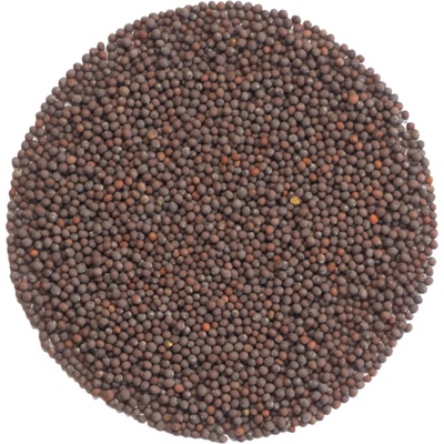 Tiny Greens Mizuna Midori - BIO semínka na klíčení a microgreens Množství: 100g