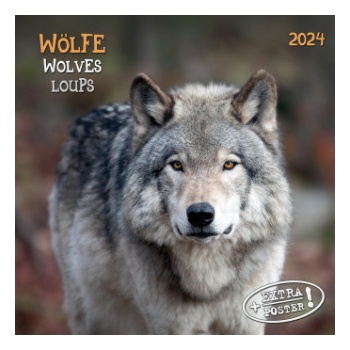 Wolves/Wölfe 2024