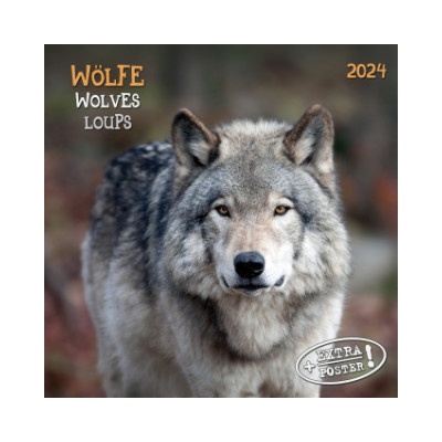 Wolves/Wölfe 2024