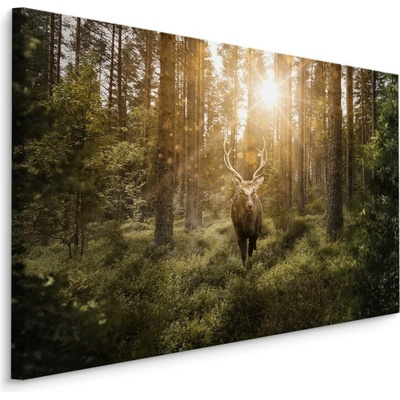 Plátno Jelen A Sluneční Paprsky Varianta: 70x50