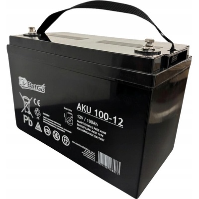 AGM 100Ah 12V AKU 100-12
