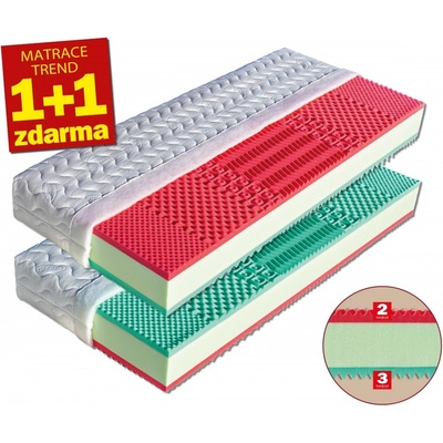 Dřevočal Ema