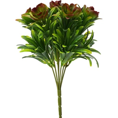 ZELEŇ SUKULENT ZELENO-ČERVENÁ 28CM
