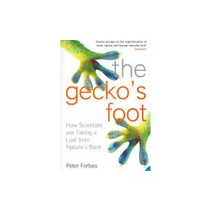 Gecko's Foot | Peter Forbes (2006)