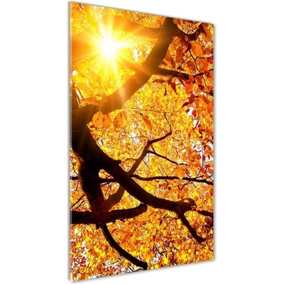 Vertikálny foto obraz sklenený Jesenný strom 50x100 cm